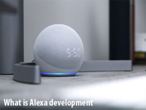 Alexa development